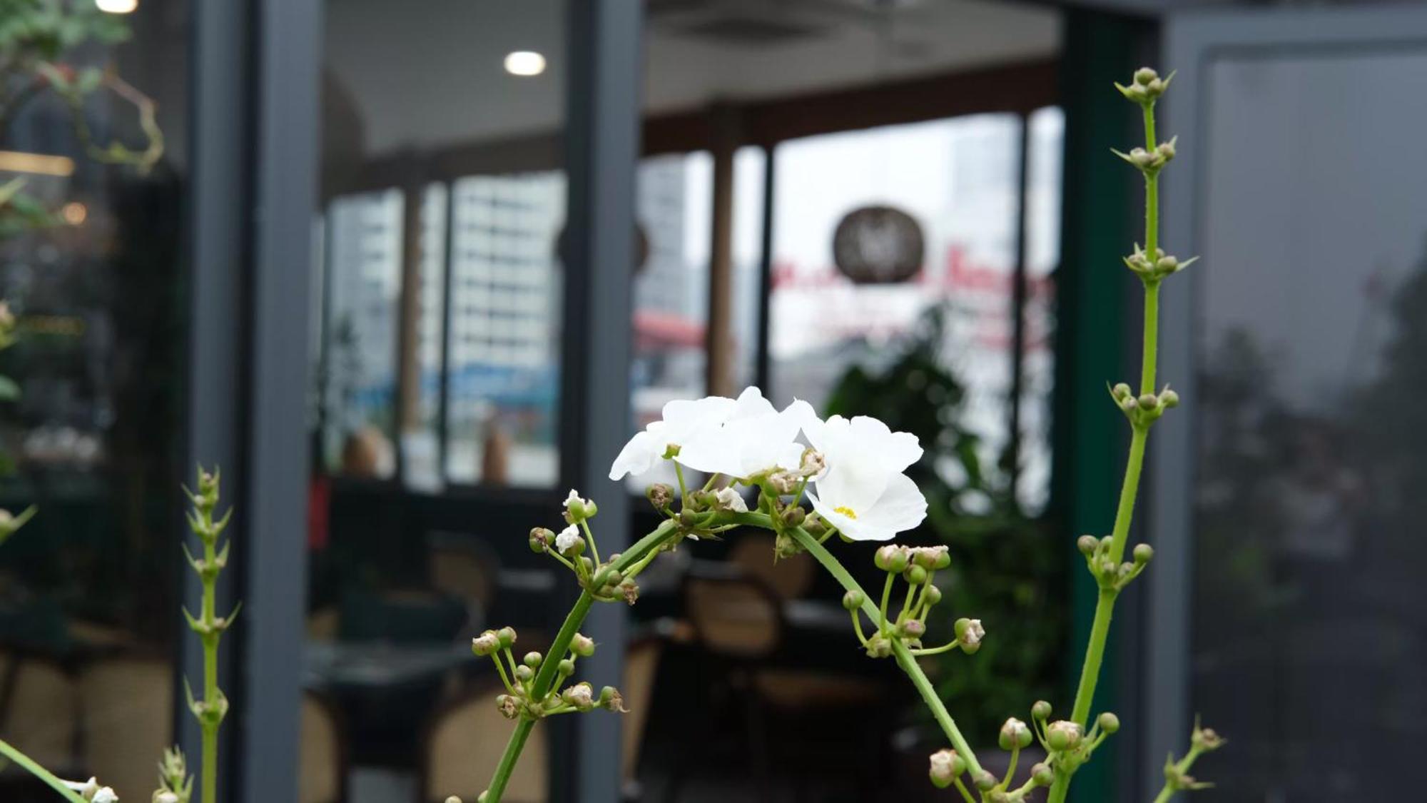 Căn hộ The Bloom Classic - And Bistro *