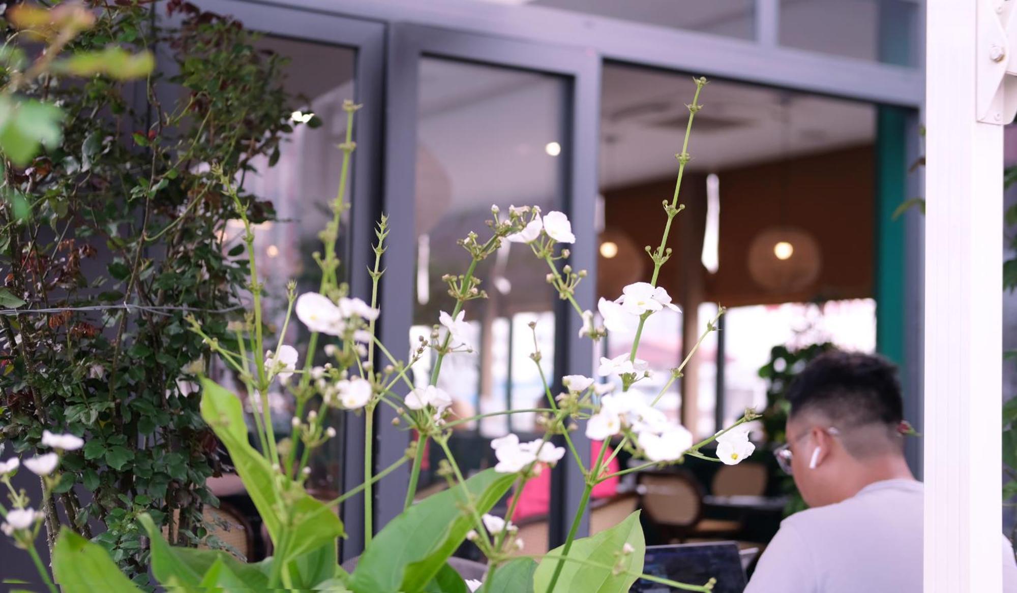 The Bloom Classic - And Bistro Căn hộ *